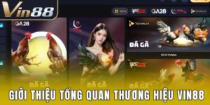 Tổng quan về thương hiệu Vin88